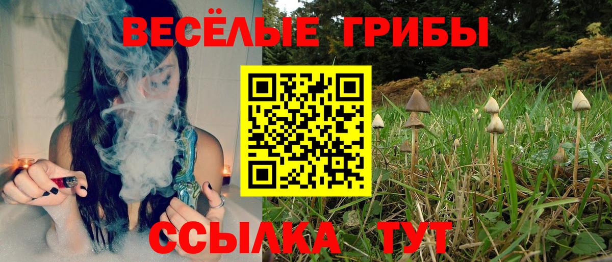 Псилоцибиновые грибы GOLDEN TEACHER Магадан